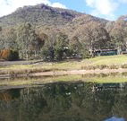 Wollemi Adventure Resort - Dalby Accommodation