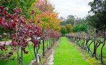 Peppers Convent Hunter Valley - Dalby Accommodation 4