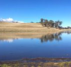 Bombala Maneroo Motel - Bombala - Dalby Accommodation