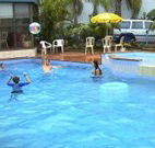 Golden Chain Palm Court Motor Inn - Port Macquarie - Dalby Accommodation