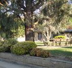 Hamilton Hume Motor Inn - Yass - Dalby Accommodation