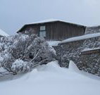 Knockshannoch Ski Lodge - Charlotte Pass - Dalby Accommodation