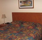 Lion Rampant Hotel - Mittagong - Dalby Accommodation