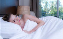 Remington Motor Inn - Muswellbrook - Dalby Accommodation 0