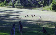 Sussex Shores RSL Units - Sussex Inlet - Dalby Accommodation 6