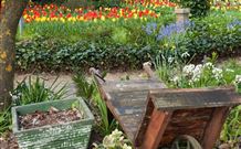The Carrington Inn - Dalby Accommodation 0