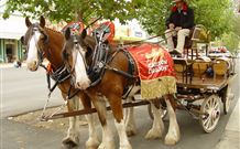 The Commercial Hotel Tumut - Tumut - Dalby Accommodation 6