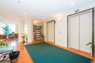 The Emerald Surfers Paradise - Dalby Accommodation 1