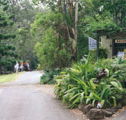 Tamborine Mountain Caravan  Camping - Dalby Accommodation