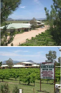 Mudgee Vineyard Motor Inn - Dalby Accommodation 0