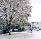 Maneroo Motel - Dalby Accommodation