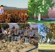 Southern Cross Motor Inn - Dalby Accommodation