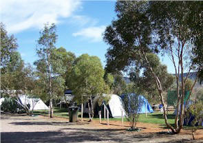 Flinders Ranges Caravan Park - Dalby Accommodation 2