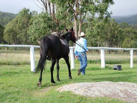 Cherrabah Resort - Dalby Accommodation 2