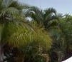 Ballina Beach Resort - Dalby Accommodation 4