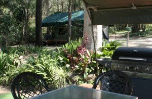 Tamborine Mountain Caravan & Camping - Dalby Accommodation 2