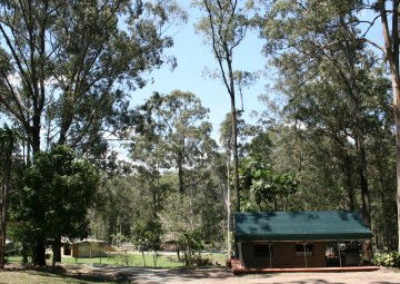 Tamborine Mountain Caravan & Camping - Dalby Accommodation 4