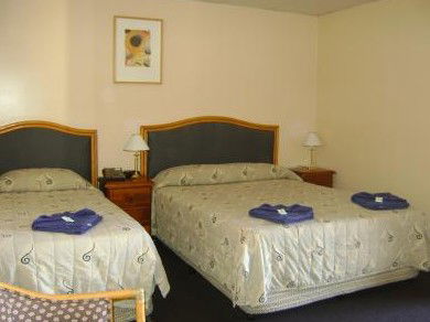 Mudgee Motor Inn - Dalby Accommodation 0