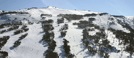 Thredbo Alpine Hotel - Dalby Accommodation 0