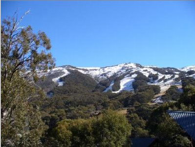 Alpenhorn Lodge - Dalby Accommodation 1