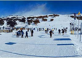 Smiggins Hotel And Chalet Apartments - Dalby Accommodation 3