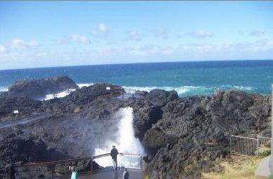 Kiama Ocean View Motor Inn - Dalby Accommodation 1