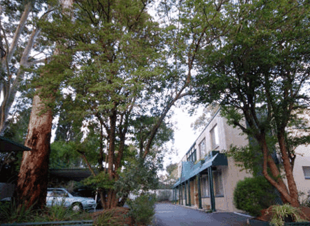 Adelaide Oakford Apartments - Dalby Accommodation 0