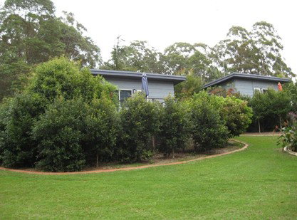 Mapleton Cabins And Caravan Park - Dalby Accommodation 3