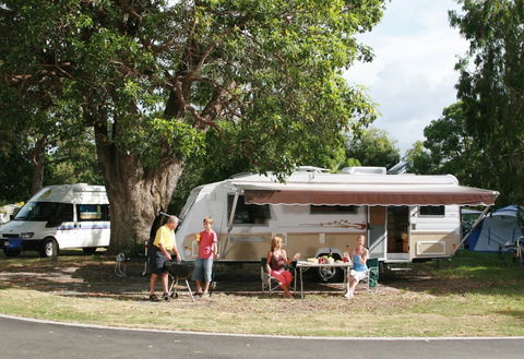 Jacob's Well Tourist Park - Dalby Accommodation 0