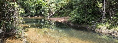 Mission Reef Resort - Dalby Accommodation 4