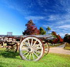 The Oaks Ranch and Country Club - Mossy Point - Dalby Accommodation