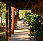 The Vineyard Motel - Cowra - Dalby Accommodation