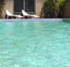 Toreador Motel - Coffs Harbour - Dalby Accommodation
