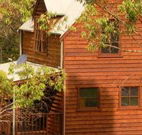Barrington Tops Organic Retreat - Dalby Accommodation