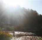 Blair Athol Estate - Dalby Accommodation