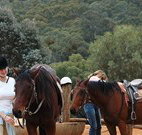 Clark Bay Cottages - Dalby Accommodation