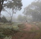 Heritage Park Bathurst - Dalby Accommodation