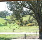Hosanna Farm Retreat - Dalby Accommodation