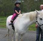 Mansfield Cottage Barrington Tops Accommodation - Dalby Accommodation