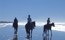 Whispering Brook - Dalby Accommodation 0