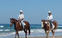 Whispering Brook - Dalby Accommodation 1