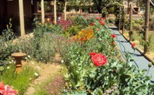 Belmore Manor Bed And Breakfast - Dalby Accommodation 1