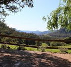Cedar Grove - - Dalby Accommodation