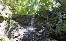 Cougal Park Bed And Breakfast - Dalby Accommodation 3