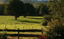 Pines On The Plateau - Dalby Accommodation 0