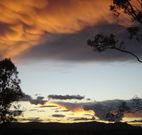 Silkwood B and B - Dalby Accommodation