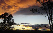 Silkwood B And B - Dalby Accommodation 1