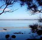 The Edgewater Bed and Breakfast - Dalby Accommodation