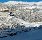 The Lions Lair Lodge - - Dalby Accommodation