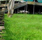 Snowy Valley Resort - Dalby Accommodation